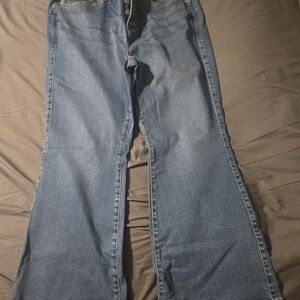 Torrid Flare Blus Jeans, Size 20